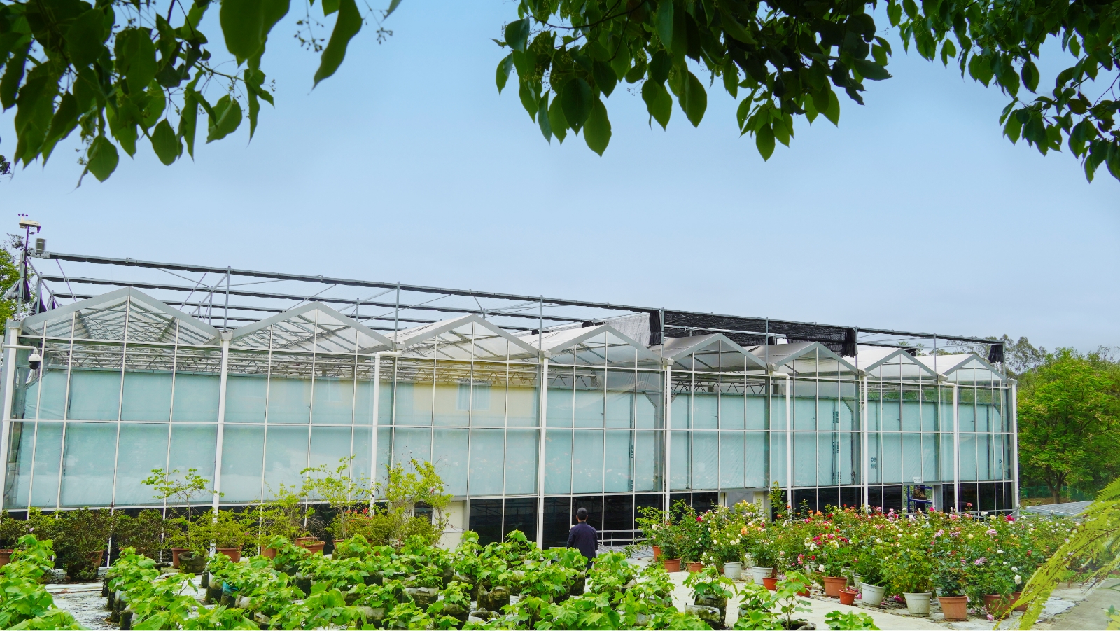 成都植物科學研究院