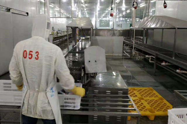 湖北专业BSCI验厂预算,BSCI验厂