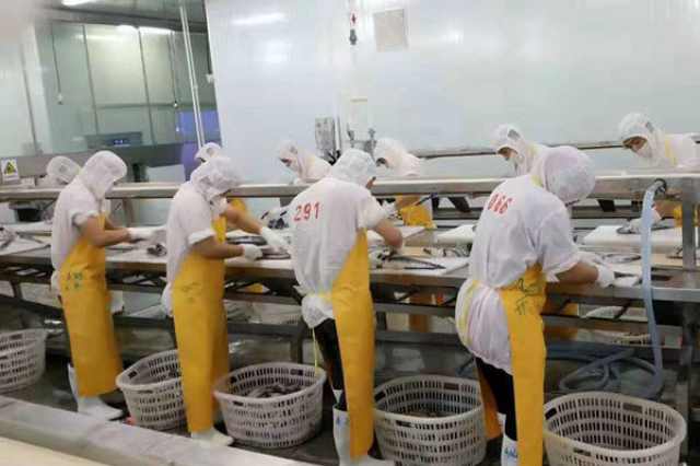 廣東本地BSCI驗廠選擇 誠信經(jīng)營 深圳市九域企業(yè)管理顧問供應(yīng)