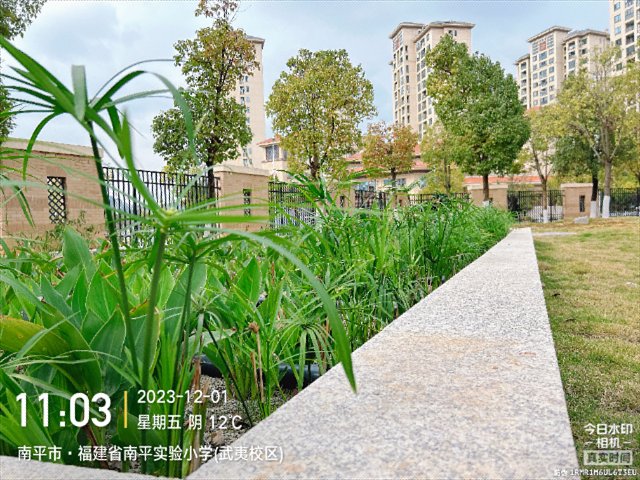 福建微生态微生态滤床人工湿地 欢迎来电 维态思上海环保科技供应