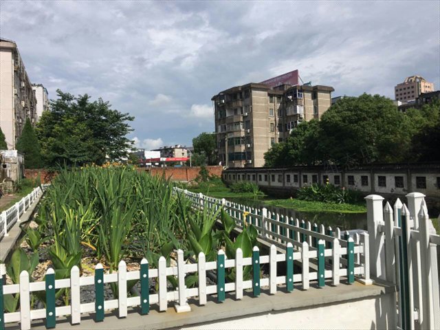 湖北微生物微生态滤床人工湿地 值得信赖 维态思上海环保科技供应