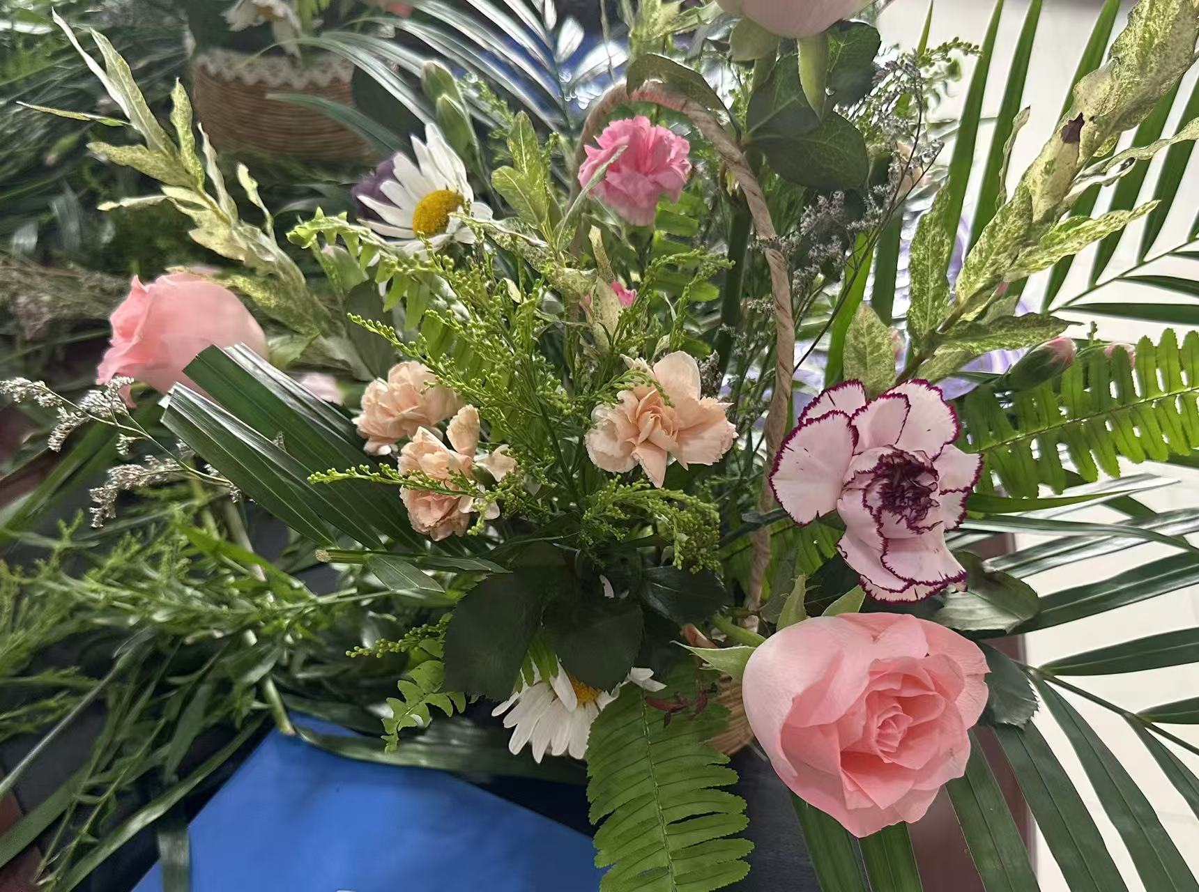 不同類(lèi)型花卉的針對(duì)性挑選技巧