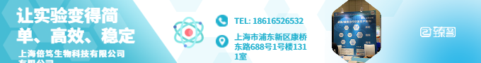 公司介紹
