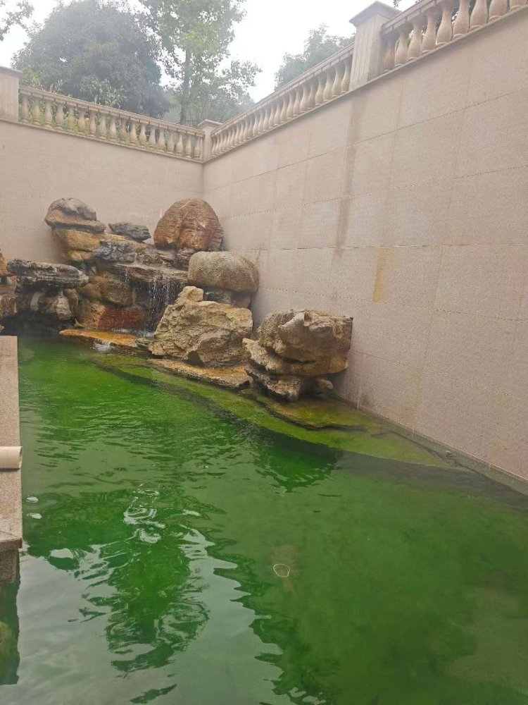 锦鲤鱼池智能净化系统净化效果