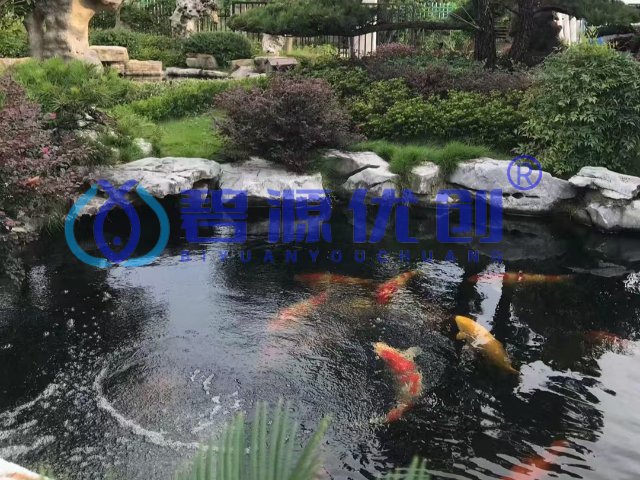 北京魚池微濾機(jī)故障小,微濾機(jī)