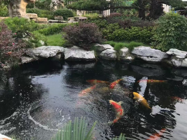 上海魚池微濾機(jī)智能 嵊州市錦森凈水科技供應(yīng)