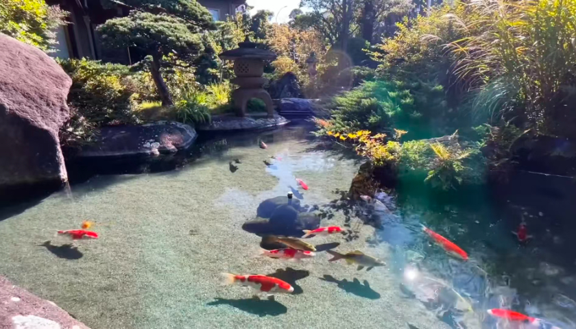 上海智能轉(zhuǎn)鼓過濾器廠家 嵊州市錦森凈水科技供應(yīng)