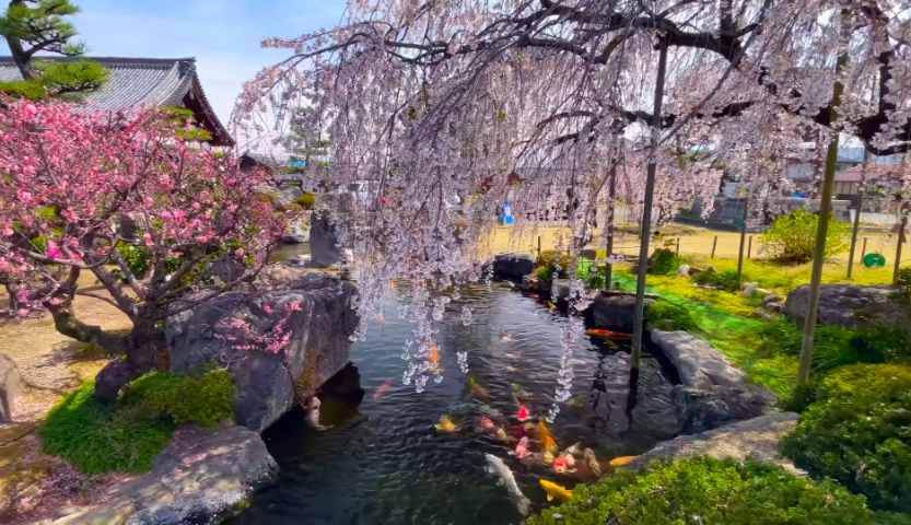 福建智能模擬控制轉(zhuǎn)鼓過濾器設(shè)計(jì) 嵊州市錦森凈水科技供應(yīng)