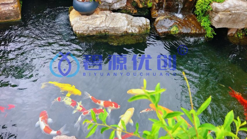 北京魚池轉鼓過濾器哪家好用