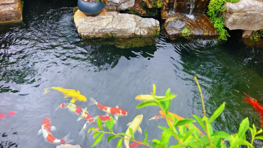 北京凈化系統(tǒng)轉(zhuǎn)鼓過濾器故障小 嵊州市錦森凈水科技供應(yīng)