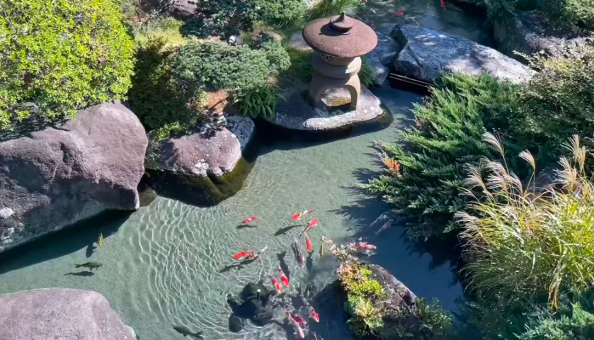 四川景觀池轉(zhuǎn)鼓過(guò)濾器智能 嵊州市錦森凈水科技供應(yīng)