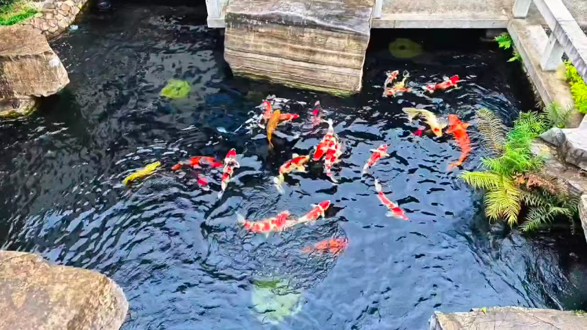 上海哪里有轉(zhuǎn)鼓過(guò)濾器價(jià)格 嵊州市錦森凈水科技供應(yīng)