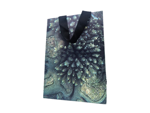 東莞化妝品紙袋樣品 東莞市睿創(chuàng)包裝制品供應(yīng);