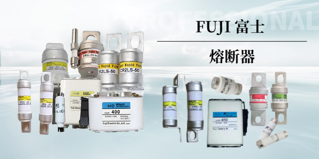 蘇州Ferraz熔斷器