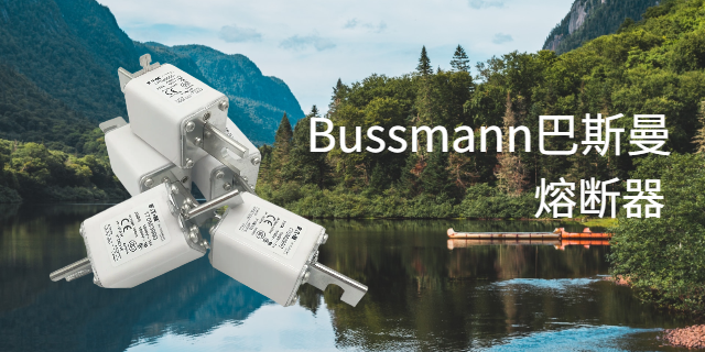 广东Bussmann巴斯曼质量哪家好 上海库熔电子电气供应