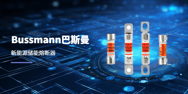 Bussmann巴斯曼170M6310 上海庫熔電子電氣供應(yīng)