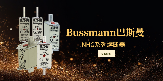 長(zhǎng)沙Bussmann巴斯曼哪家專業(yè),Bussmann巴斯曼
