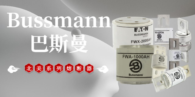 山西Bussmann巴斯曼規(guī)格