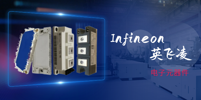 福建Infineon英飛凌原裝 原裝現(xiàn)貨 上海庫熔電子電氣供應(yīng)