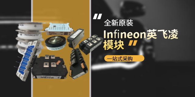 福建Infineon英飛凌哪種好 全新原裝 上海庫(kù)熔電子電氣供應(yīng)