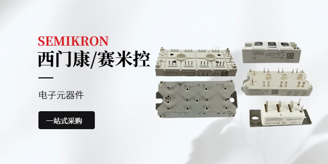SEMIKRON賽米控SKIIP1813GB123-3DL