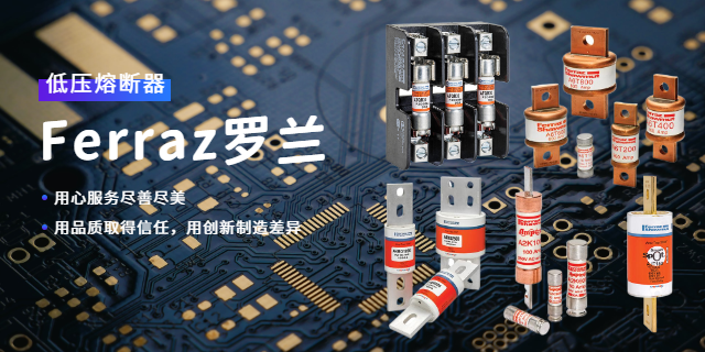 MERSEN美尔森Ferraz罗兰FD20GC100V40T 上海库熔电子电气供应