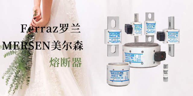 Ferraz罗兰5URB000BS88/400 上海库熔电子电气供应