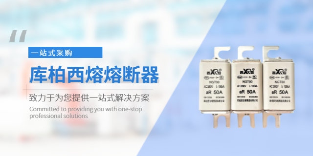 西藏庫柏西熔熔斷器規(guī)格 原裝現(xiàn)貨 上海庫熔電子電氣供應