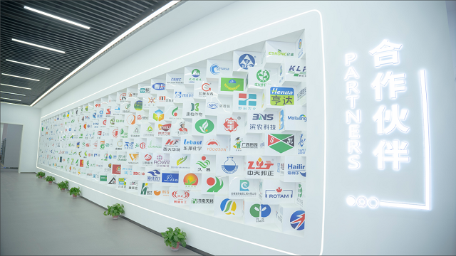 浙江性價比高的袋裝線 江蘇金旺智能科技供應