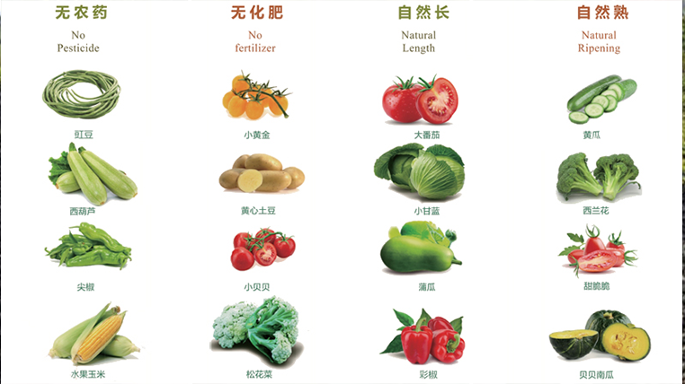 中衛(wèi)生物礦物質有機肥批發(fā)