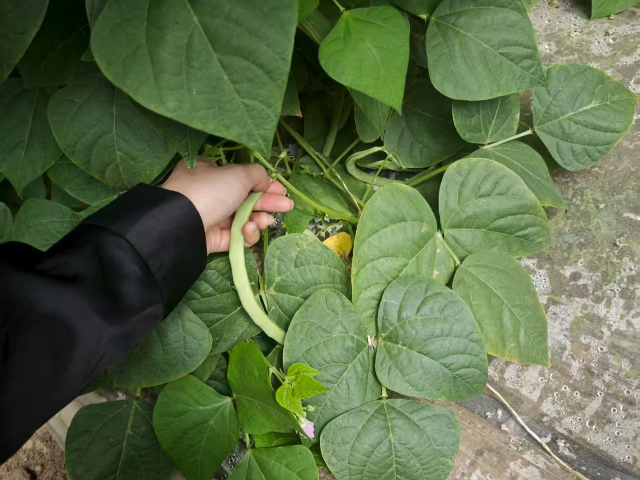 寧夏水質(zhì)改良343生物酶多少錢,343生物酶