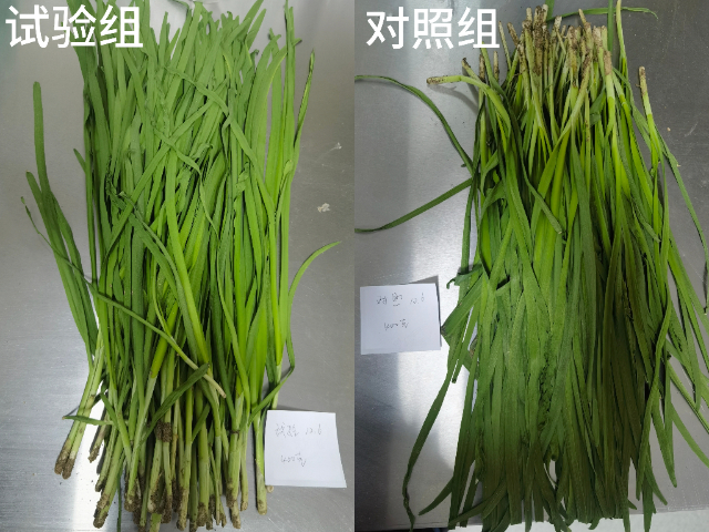 銀川低成本生物防蟲菌劑 寧夏攀寶沸石生物科技供應(yīng)