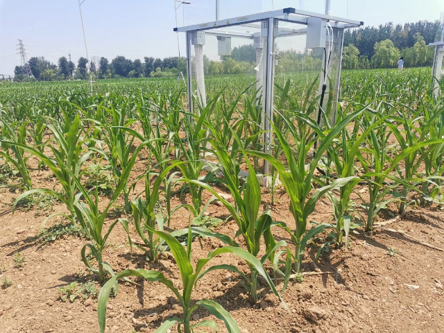 四川便攜式多通道冠層光合儀 上海黍峰生物科技供應;