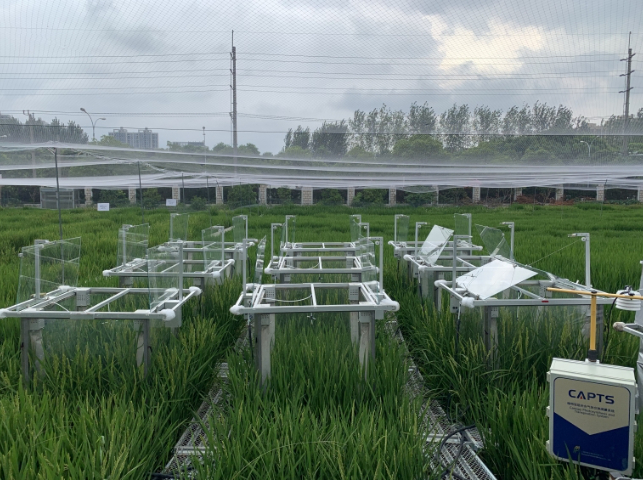 黍峰生物抗逆生理群體光合儀報價 上海黍峰生物科技供應