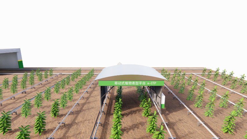 云南野外植物表型平臺(tái) 上海黍峰生物科技供應(yīng)