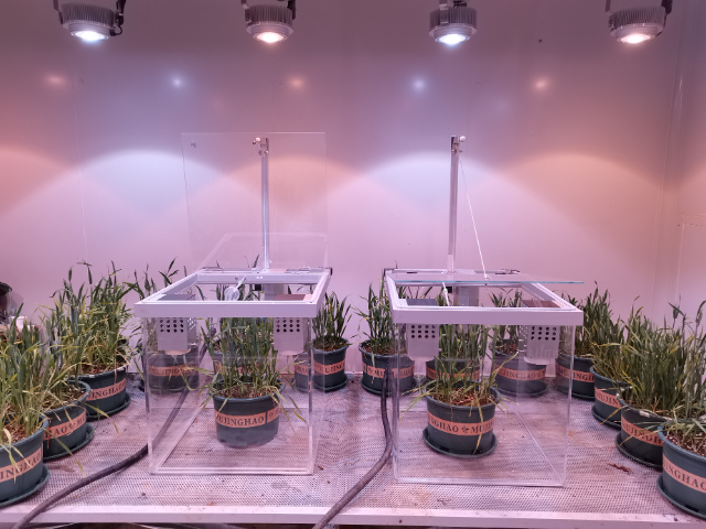 農(nóng)科院多通道冠層光合儀報價 上海黍峰生物科技供應