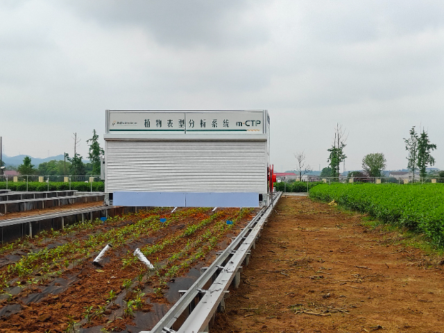 上海龍門式植物表型平臺批發(fā)