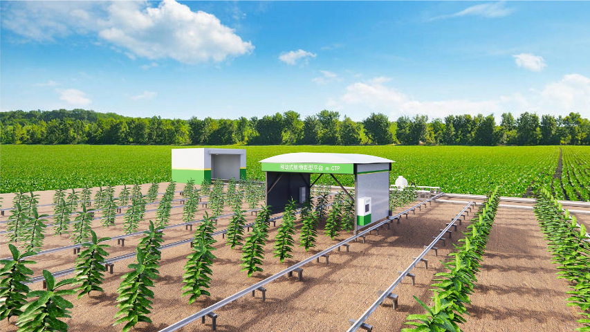黍峰生物AI育種植物表型平臺批發(fā) 上海黍峰生物科技供應(yīng)