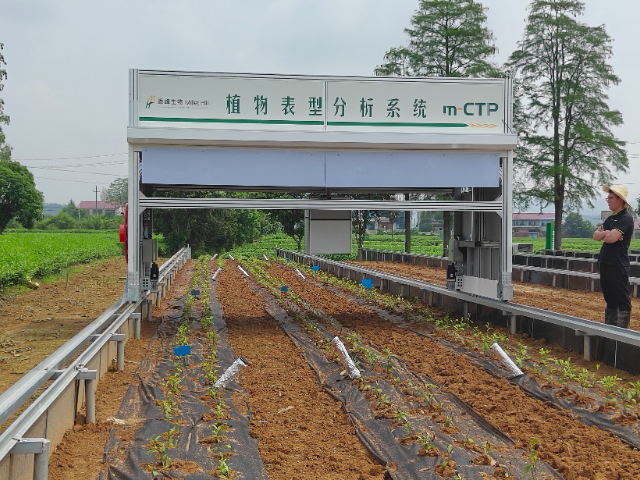 遼寧田間植物表型平臺,植物表型平臺