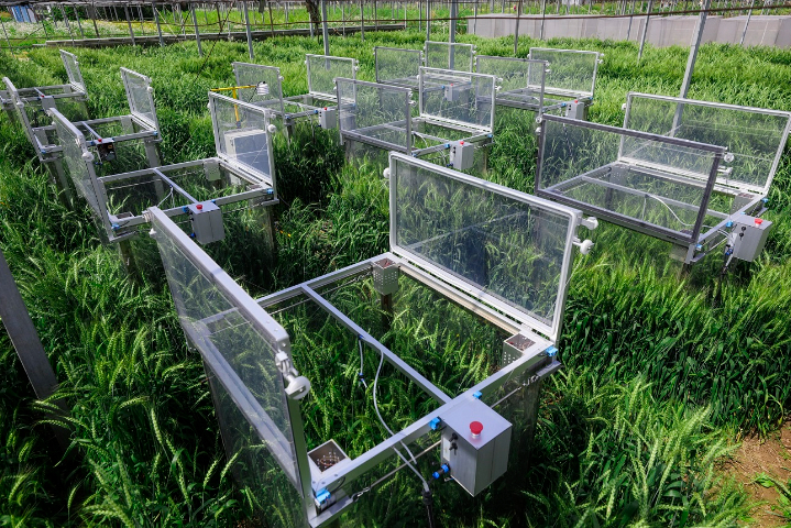 海南多通道冠層光合儀解決方案 上海黍峰生物科技供應