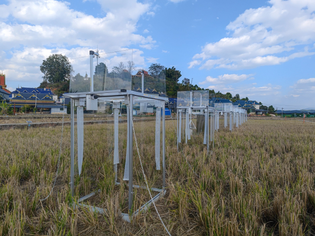 上海黍峰生物冠層光合速率多通道冠層光合儀定制 上海黍峰生物科技供應