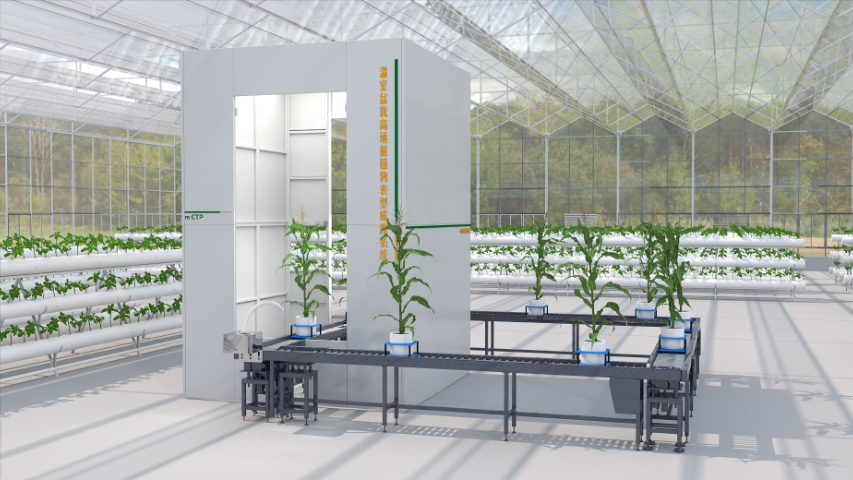 四川植物表型平臺(tái)多少錢一套 上海黍峰生物科技供應(yīng)