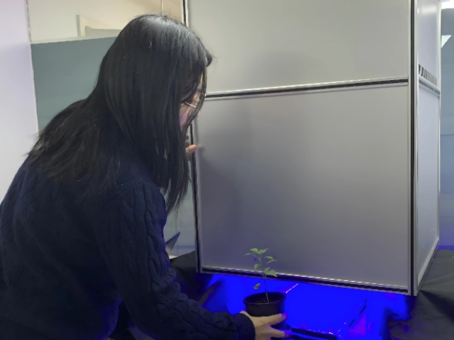 新疆葉綠素?zé)晒鈨x怎么賣 上海黍峰生物科技供應(yīng)