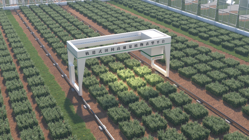 上海黍峰生物高通量植物表型平台价格,植物表型平台