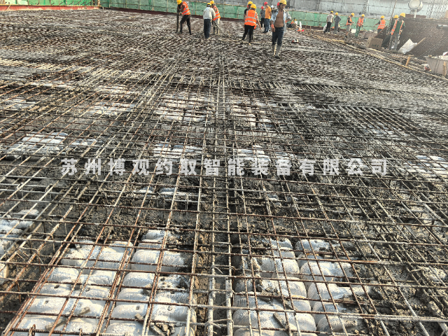 广东薄壁箱体空心楼盖制作 诚信服务 苏州博观约取智能装备供应