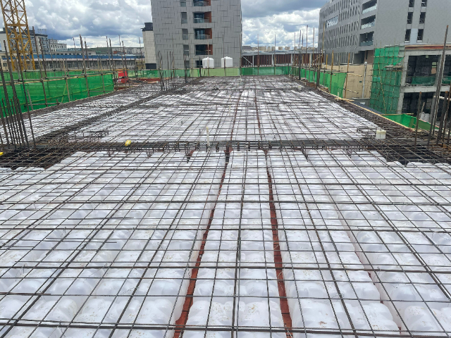 四川綠色新能源仿生輕量化空心樓蓋芯模免拆模工藝 值得信賴 蘇州博觀約取智能裝備供應