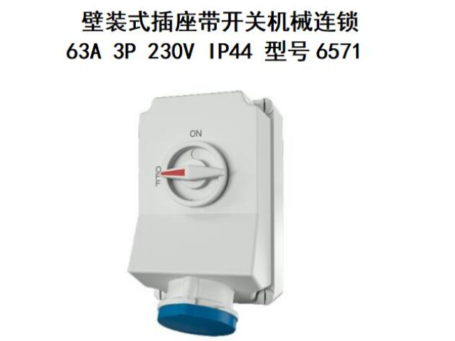 貴州MENNEKES曼奈柯斯TYP5618A 值得信賴 廣州法華供應(yīng)