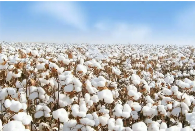 廣東納米級(jí)纖維直徑報(bào)告系統(tǒng)國(guó)產(chǎn)替代 杭州探微智能科技供應(yīng)