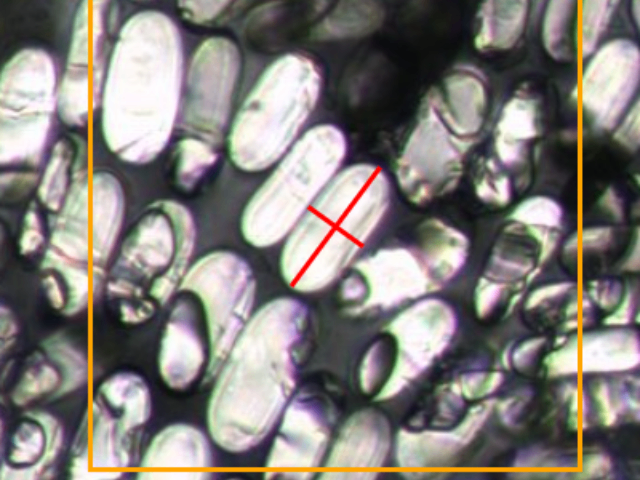 浙江高精度纖維橫截面智能報告系統哪個好 杭州探微智能科技供應
