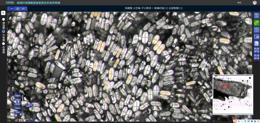 山東穩(wěn)定性高纖維橫截面智能報告系統(tǒng)推薦 杭州探微智能科技供應